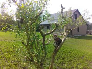 Фото номера Дом с 2 спальнями Дома для отпуска Chistiye Prudy Vacation Home г. Bogino 17