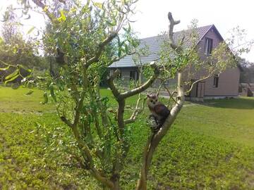 Фото номера Дом с 2 спальнями Дома для отпуска Chistiye Prudy Vacation Home г. Bogino 20